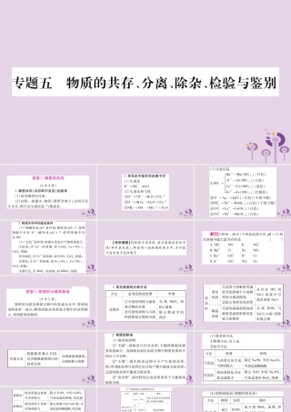 中考化学复习 第二部分 重难题型专题突破 专题五 物质的共存、分离、除杂、检验与检验(精讲)课件