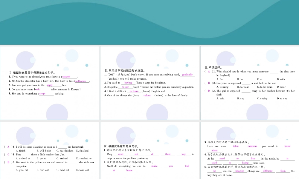 九年级英语全册 Unit 10 You re supposed to shake hands(第3课时)Section B1(1a 2e)习题课件 (新版)人教新目标版 课件