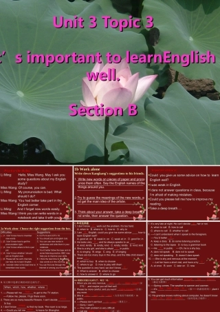 九年级英语Unit3 Topic3 sectionB课件 仁爱版 课件