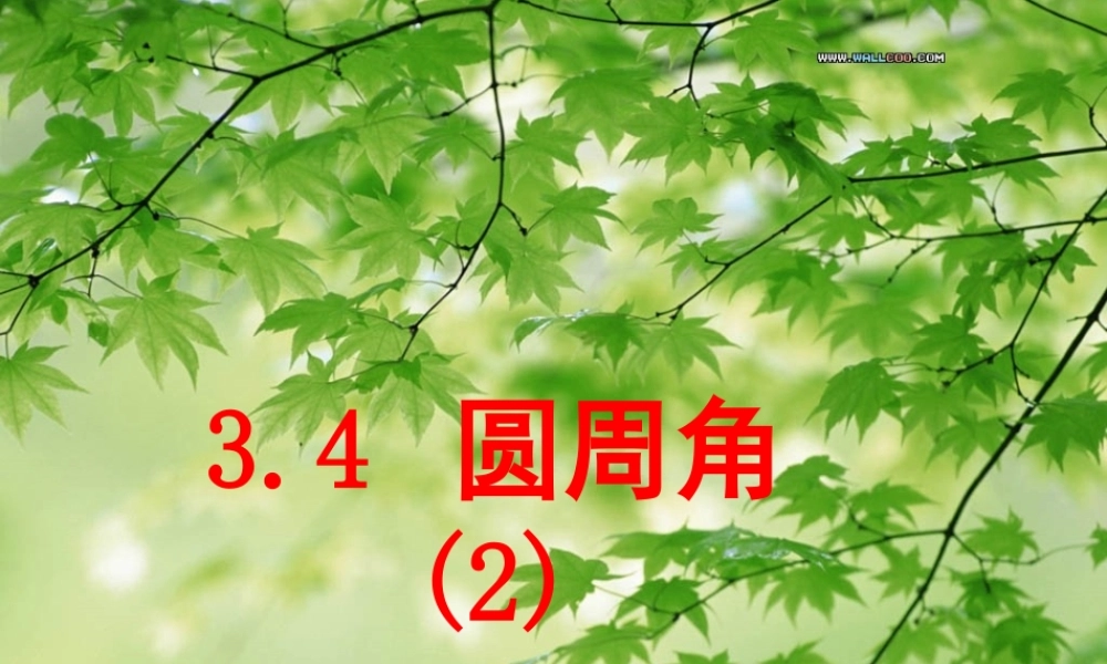 九年级数学上册 (圆周角)第二课件 浙教版 课件