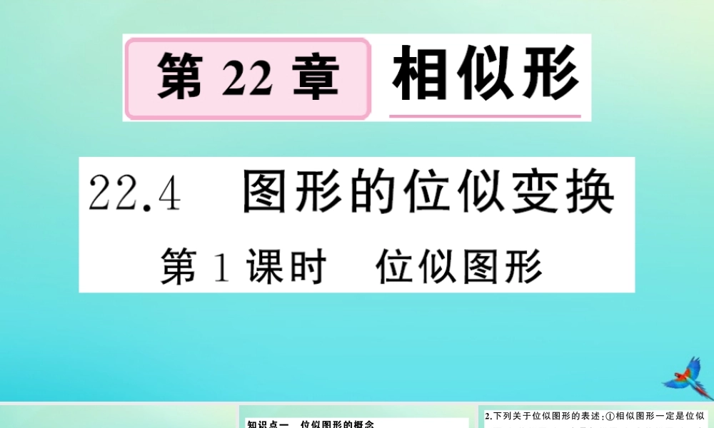 九年级数学上册 第22章 相似形 22.4 图形的位似变换 第1课时 位似图形作业课件 (新版)沪科版 课件