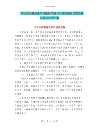 市发改委服务业项目建设措施与市发改统计调查工作会讲话范文汇编