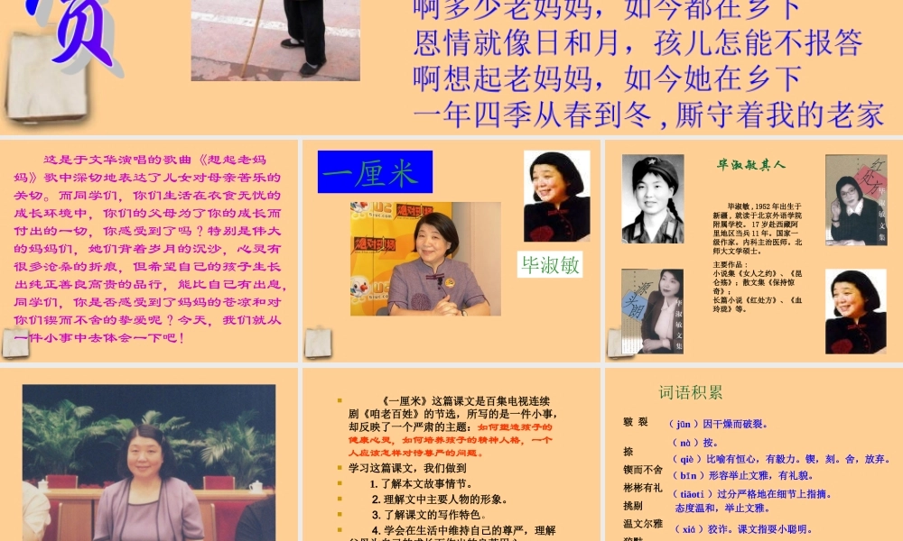 九年级语文下册 第4课(一厘米)课件 苏教版 课件