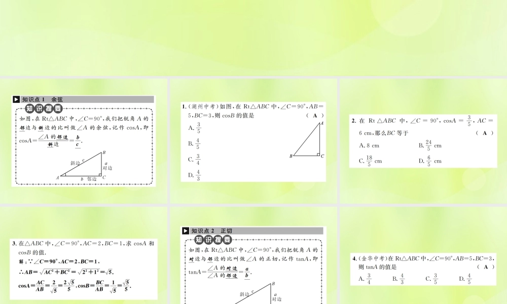 九年级数学下册 第二十八章 锐角三角函数 281 锐角三角函数 第2课时 锐角三角函数课件 (新版)新人教版 课件