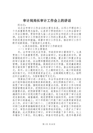 审计局局长审计工作会上的讲话