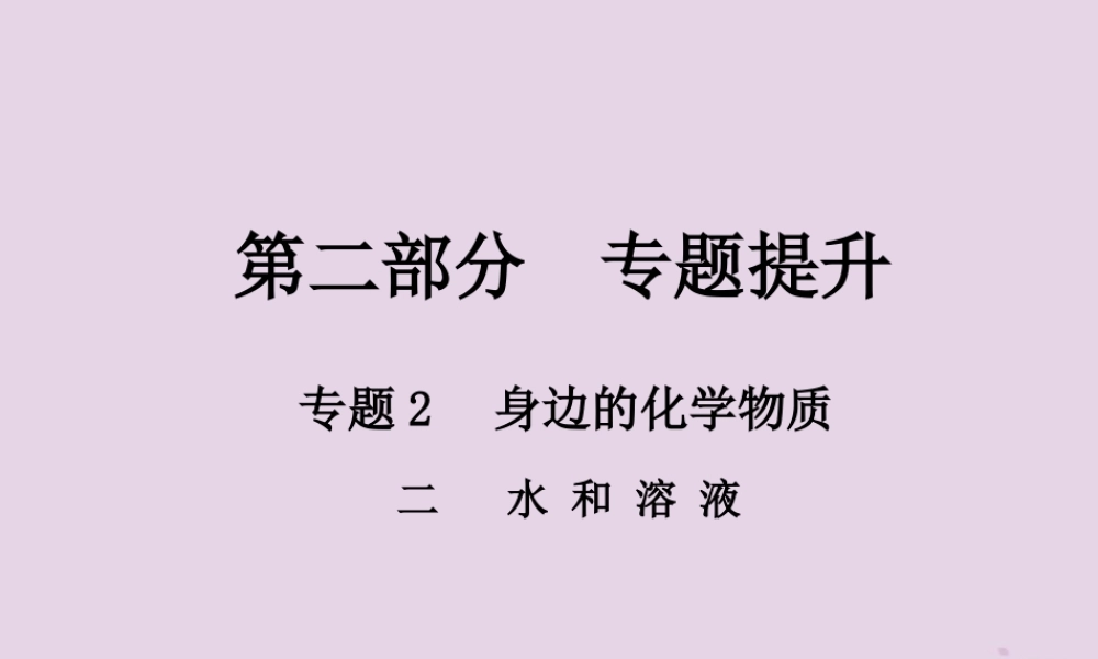 中考化学总复习 第二部分 专题提升 专题2 身边的化学物质 二 水和溶液课件
