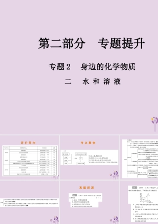 中考化学总复习 第二部分 专题提升 专题2 身边的化学物质 二 水和溶液课件