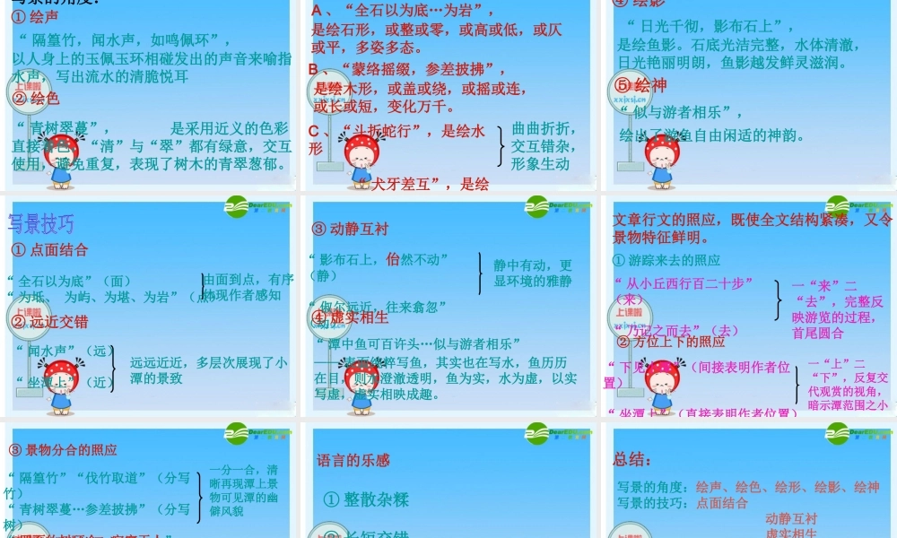 八年级语文下册：小石潭记课件 新人教版 课件