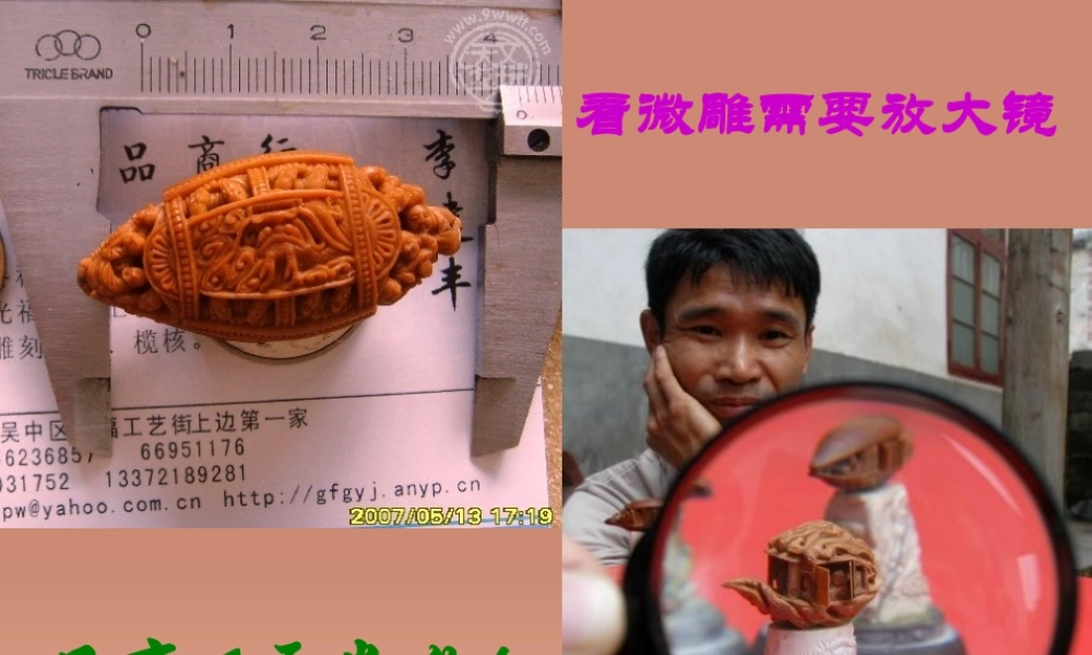 八年级语文下册 13(核舟记)课件 苏教版 课件