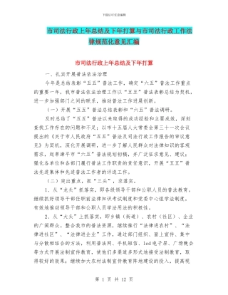 市司法行政上年总结及下年打算与市司法行政工作规范化意见汇编
