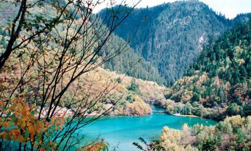 人教版高二语文下学期项链 课件