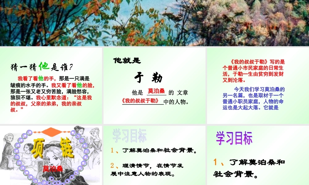 人教版高二语文下学期项链 课件