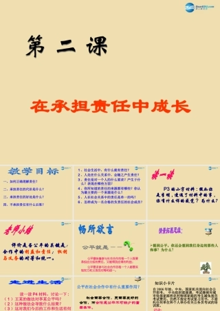 九年级政治全册 在承担责任中成长课件 新人教版 课件
