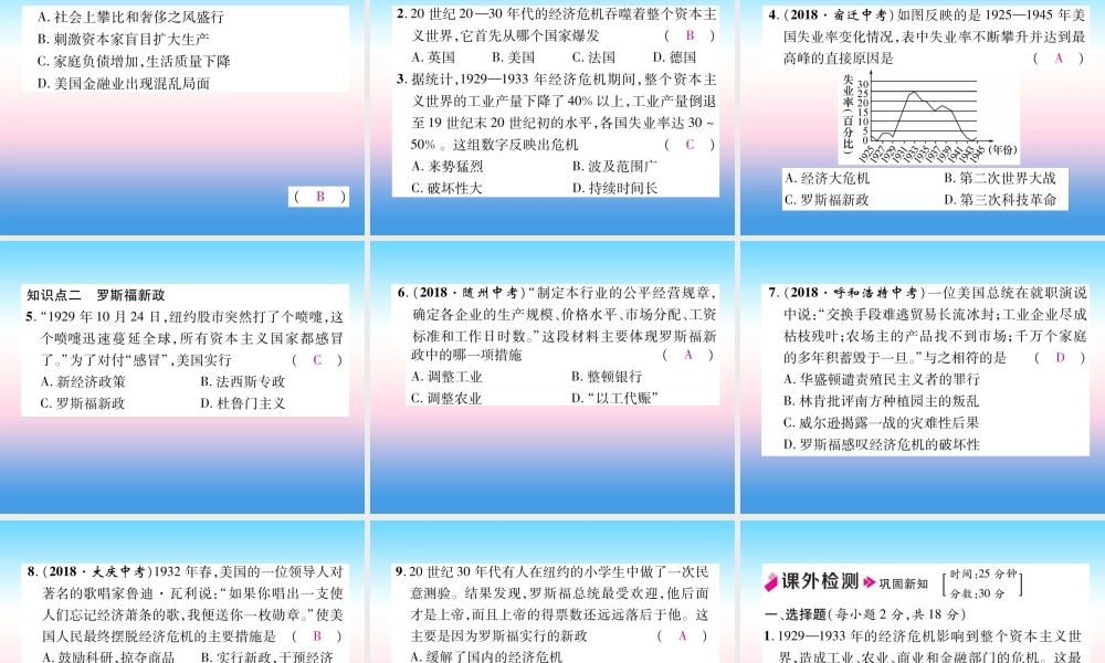 九年级历史下册 第4单元 经济大危机和第二次世界大战 第13课 罗斯福新政自主学习课件 新人教版 课件