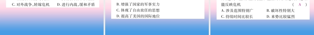 九年级历史下册 第4单元 经济大危机和第二次世界大战 第13课 罗斯福新政自主学习课件 新人教版 课件