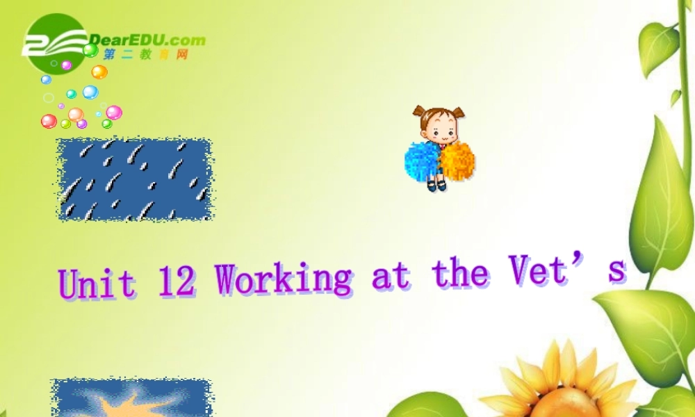 八年级英语下册：Unit 12 Working at the Vet s复习课件(北京课改版) 课件