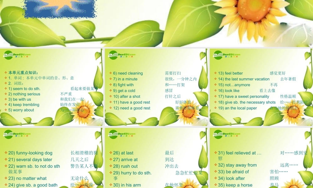 八年级英语下册：Unit 12 Working at the Vet s复习课件(北京课改版) 课件