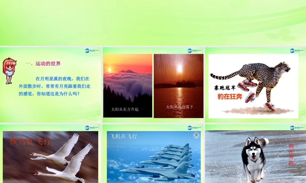 八年级物理全册 2.1 动与静课件 (新版)沪科版 课件