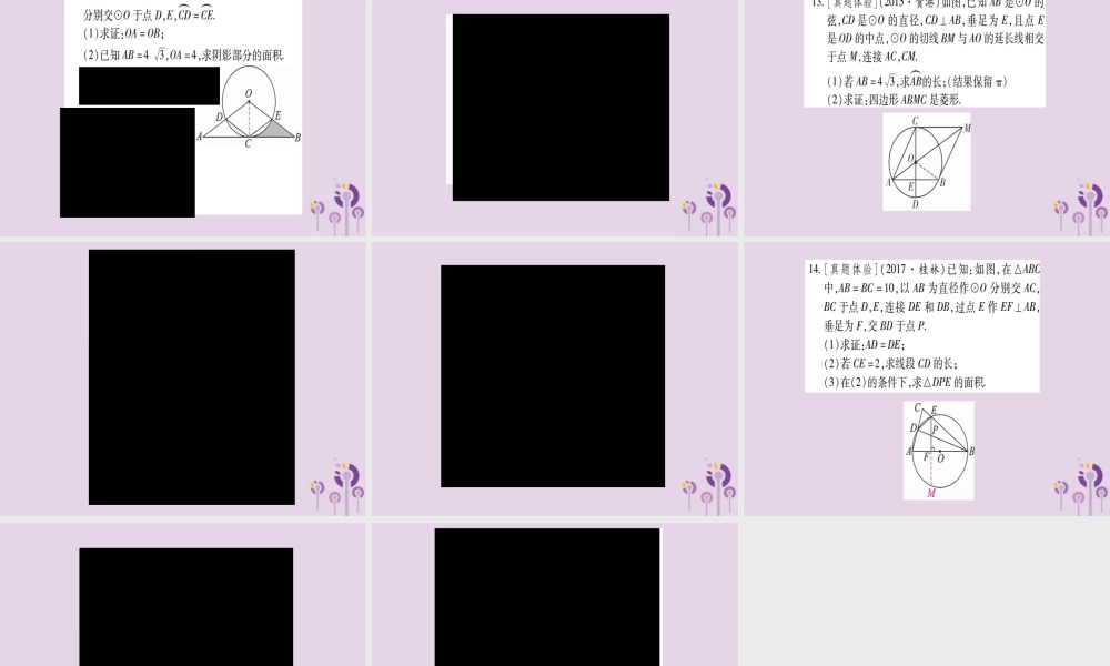 九年级数学下册 第2章 圆本章中考重热点突破作业课件 (新版)湘教版 课件