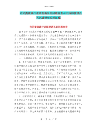 市团委就践行发展观遇见的问题自查与市园林管理处作风建设年总结汇编