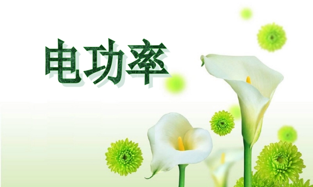 八年级物理下学期素材大全 电功率1课件 人教新课标版  课件