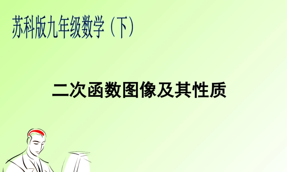 中考数学专题复习 二次函数图像及其性质课件
