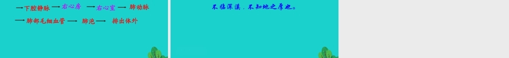 七年级生物下册 4.4.3 输送血液的泵 心脏课件 七年级生物下册 4.4.3 输送血液的泵 心脏课件+素材(新版)新人教版-2