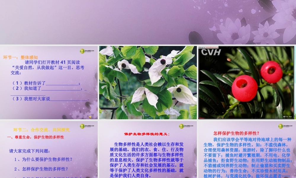 八年级政治下册 第六单元第十三课第一框关爱大自然 从我做起课件 鲁教版 课件
