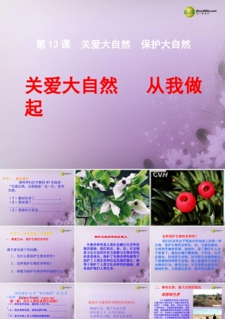 八年级政治下册 第六单元第十三课第一框关爱大自然 从我做起课件 鲁教版 课件