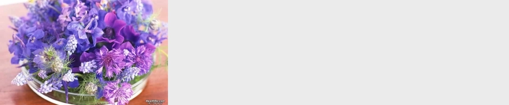 北京高考英语直接引语和间接引语复习 人教版 试题