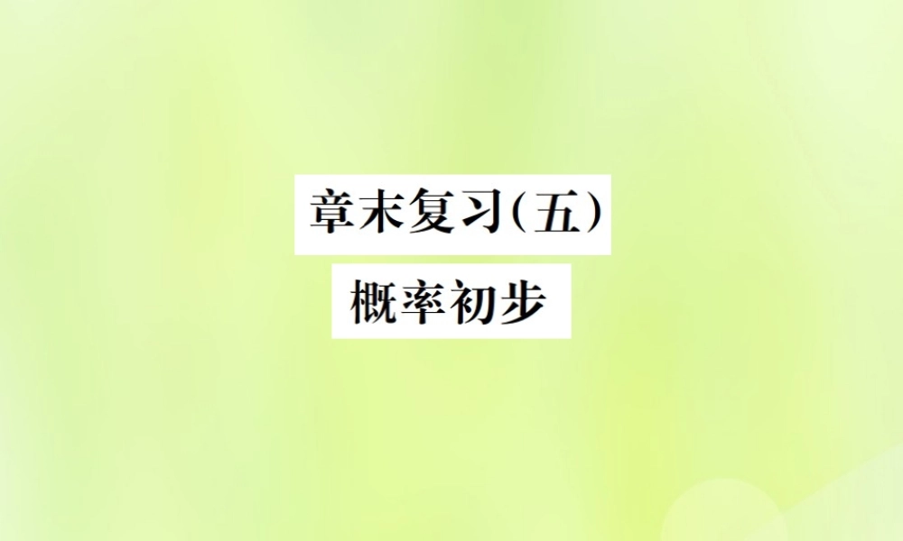 九年级数学上册 第二十五章 概率初步章末复习(五)概率初步课件 (新版)新人教版 课件