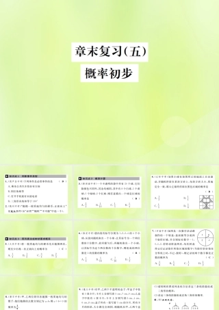 九年级数学上册 第二十五章 概率初步章末复习(五)概率初步课件 (新版)新人教版 课件