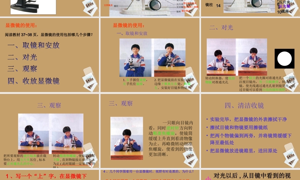 七年级生物 练习使用显微镜课件 人教新课标版 课件