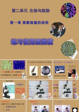 七年级生物 练习使用显微镜课件 人教新课标版 课件
