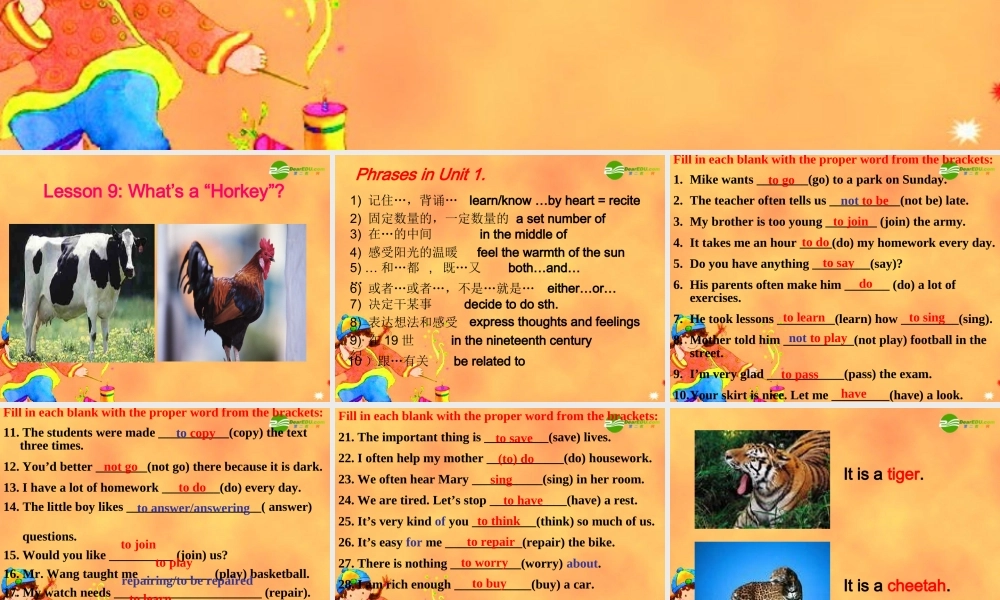 九年级英语下册 Unit2 DNA Lesson9课件 冀教版 课件