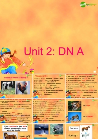 九年级英语下册 Unit2 DNA Lesson9课件 冀教版 课件