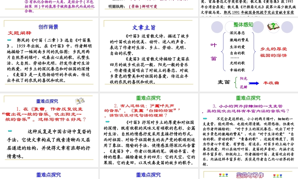 九年级语文上：第4课(叶笛)课件(冀教版) 课件