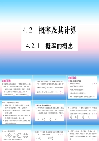 九年级数学下册 第4章 概率 42 概率及其计算 421 概率的概念作业课件 (新版)湘教版 课件