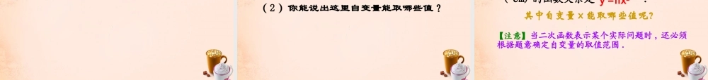九年级数学下册 11 二次函数课件 (新版)湘教版 课件