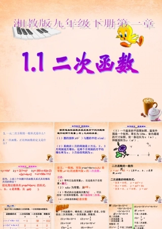 九年级数学下册 11 二次函数课件 (新版)湘教版 课件
