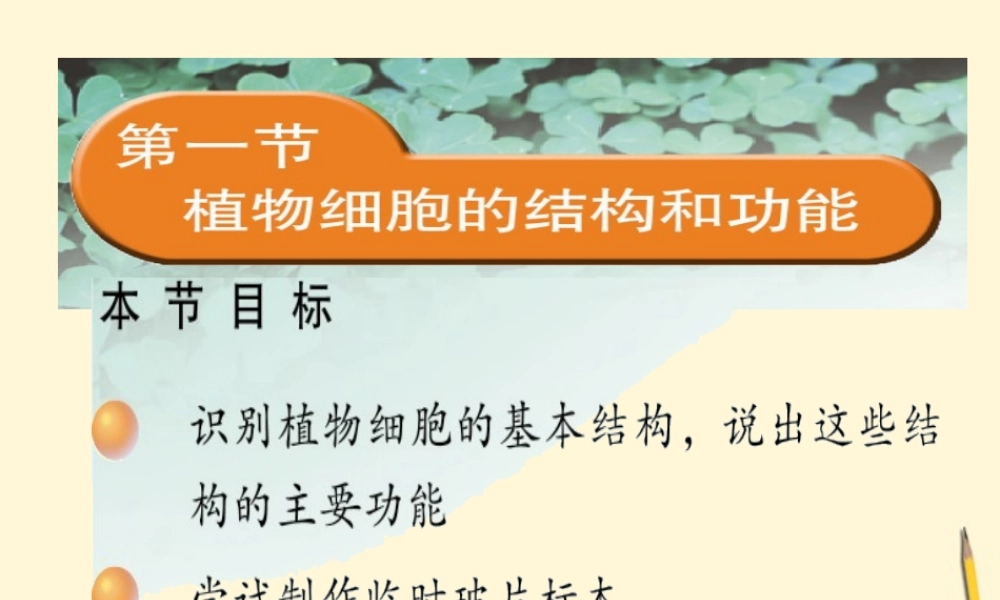 七年级生物上册(植物细胞的结构和功能)课件 苏教版 课件