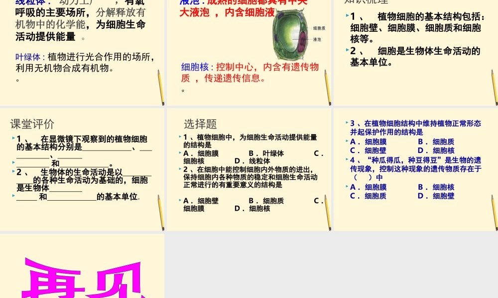 七年级生物上册(植物细胞的结构和功能)课件 苏教版 课件