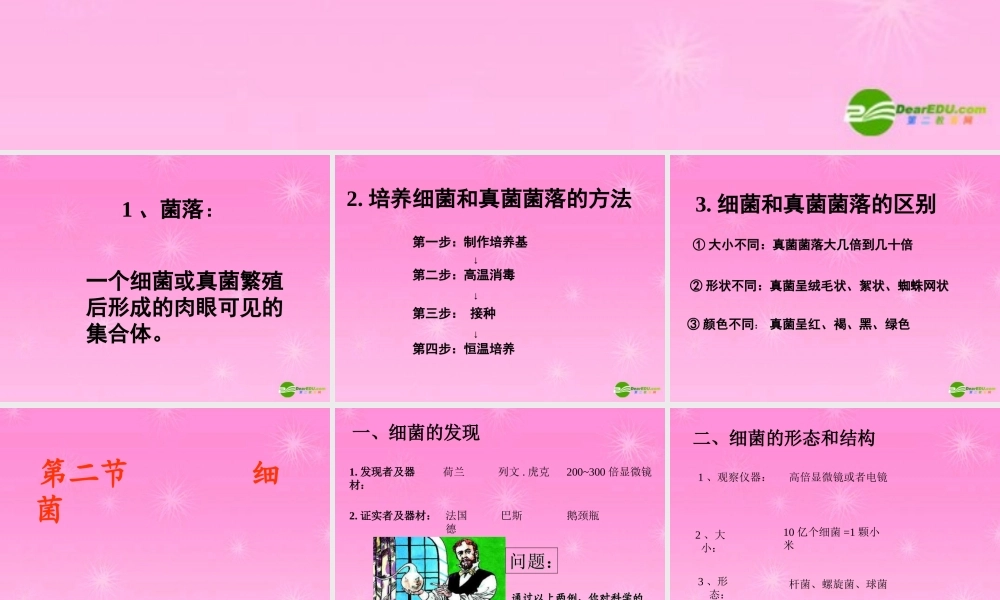 八年级生物上册 生物细菌1课件 人教版 课件