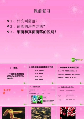 八年级生物上册 生物细菌1课件 人教版 课件