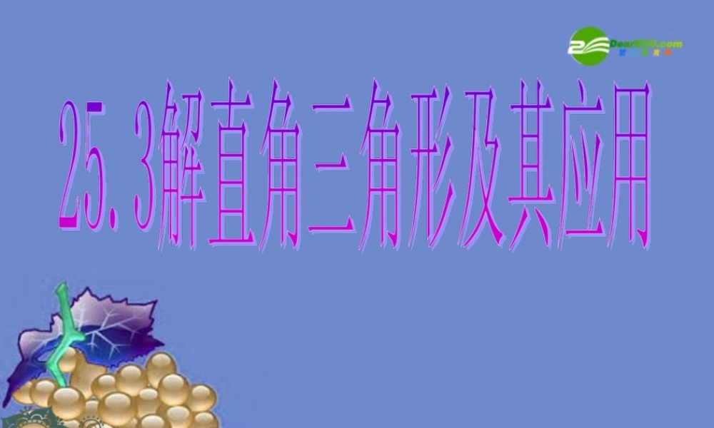 九年级数学上册 253解直角三角形及其应用课件 沪科版 课件