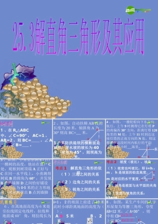 九年级数学上册 253解直角三角形及其应用课件 沪科版 课件