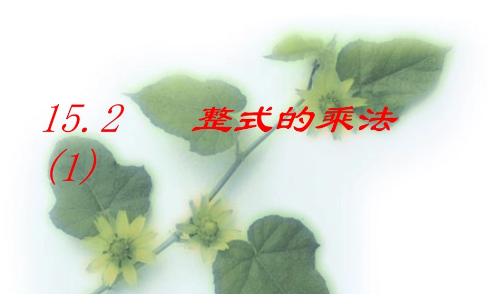 八年级数学同底数幂的乘法课件3 新课标 人教版 课件