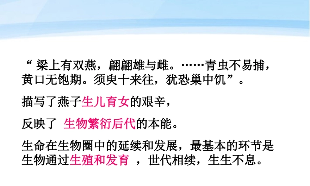 八年级生物下册 植物的生殖和发育课件 人教新课标版 课件