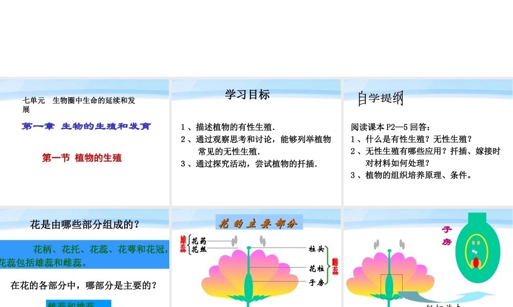 八年级生物下册 植物的生殖和发育课件 人教新课标版 课件
