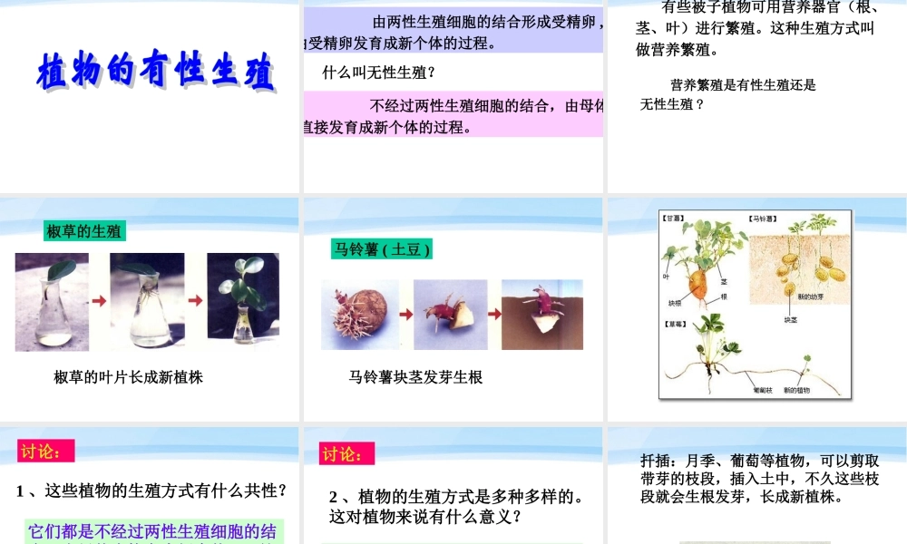 八年级生物下册 植物的生殖和发育课件 人教新课标版 课件